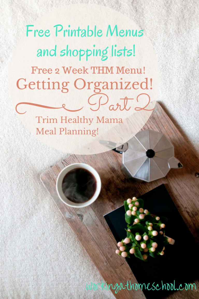Part 2 – Every Mom’s Guide to Getting Organized with Meal Planning