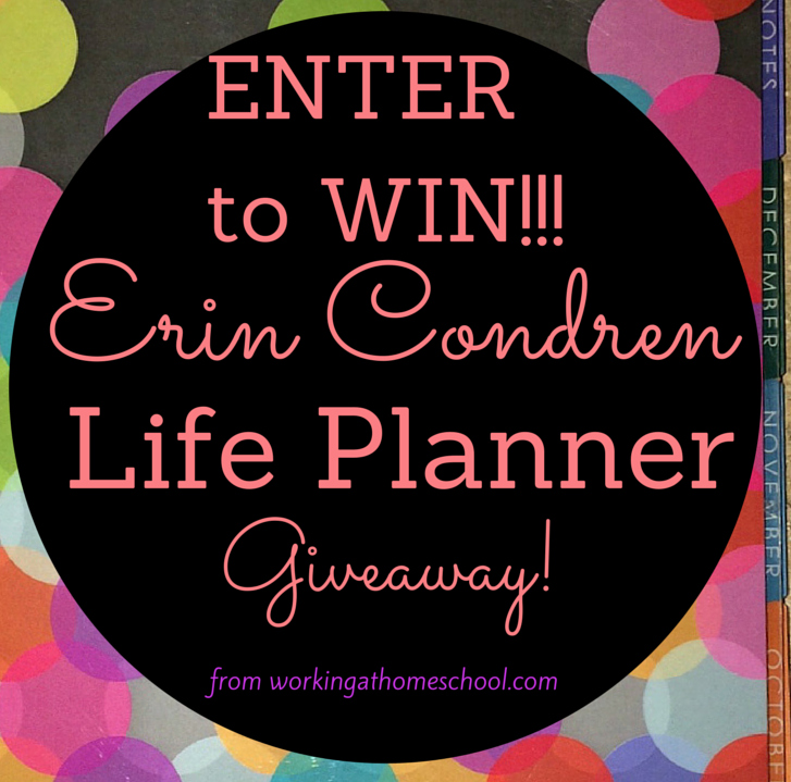 Erin Condren Life Planner Giveaway!