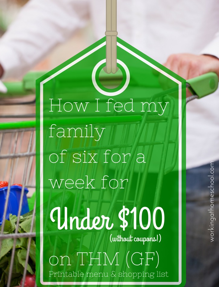 Feed a family of six for under $100 for a week on THM