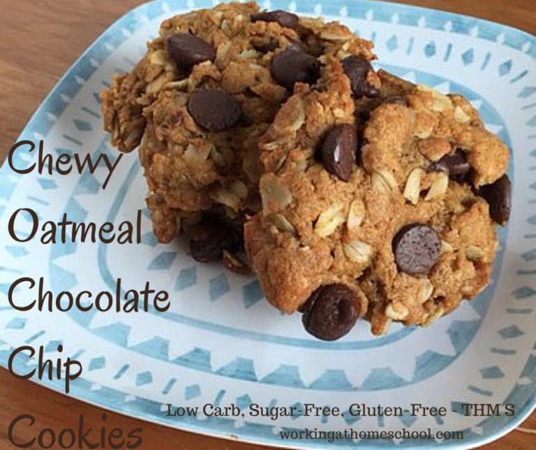 Trim Healthy Mama Chewy Chocolate Chip Cookies