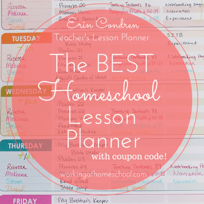 Homeschool Lesson Planner Review – Erin Condren Teacher’s Lesson Planner