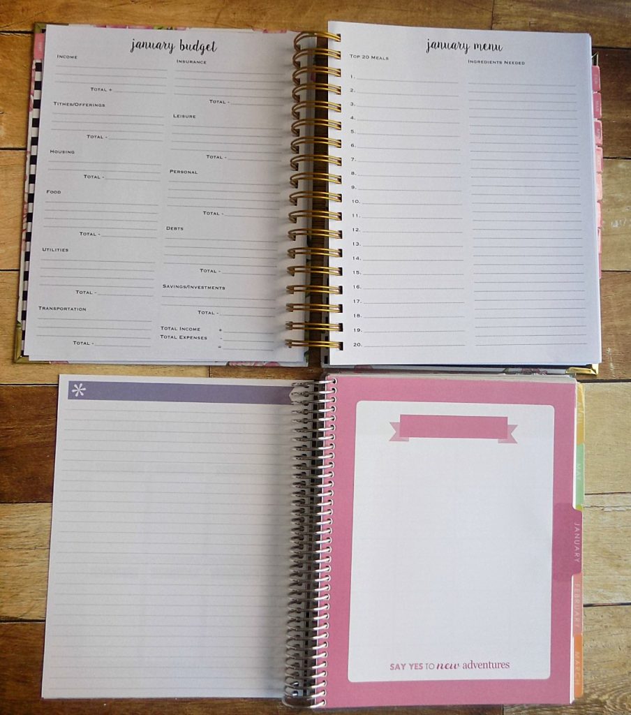 PP Budget & Menu with EC Planning Pages