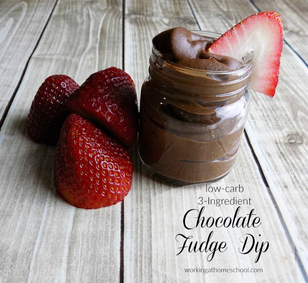 Easy, low-carb 3-Ingredient Chocolate Fudge Dip - I make this all the time! THM S