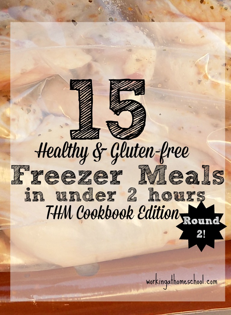 Trim Healthy Mama Freezer Cooking Session – Round 2
