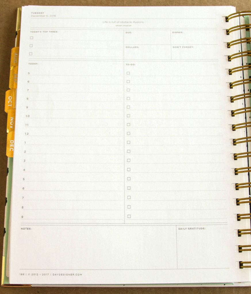 How you can use the Day Designer to get organized! So cute!