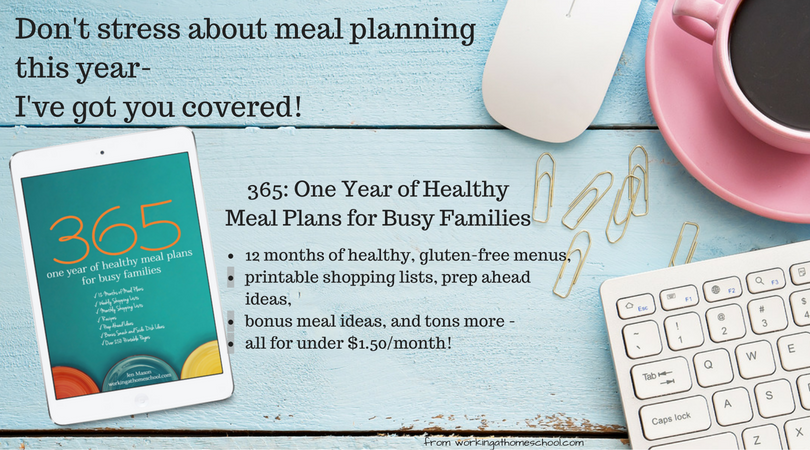 365 one year of healthy meal plans for busy families 365 One Year Of Healthy Meal Plans For Busy Families The Well Planned Kitchen