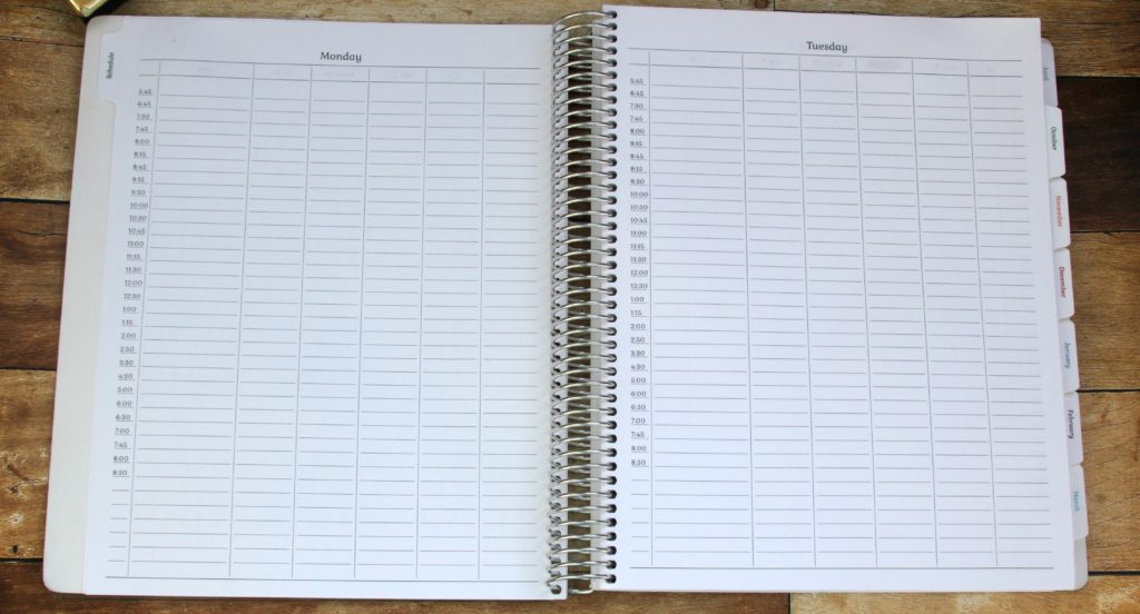 Check out the customizable schedules and pages built into this planner - amazing! It's perfect!