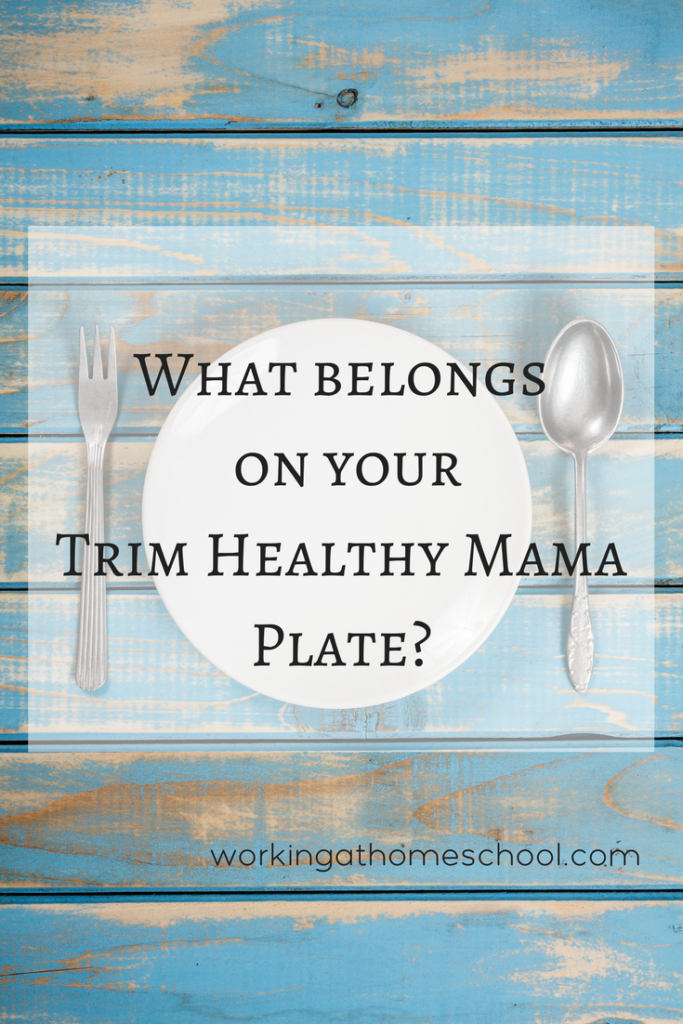 See how you can portion your plate for great results on the Trim Healthy Mama Diet! Use this for your own family favorites, or use one of the free Trim Healthy Mama Meal Plan options. 